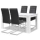 Agionda® Esstisch + Stuhlset : 1 x Esstisch Toledo Weiss 140 x 90 + 4 Freischwinger schwarz