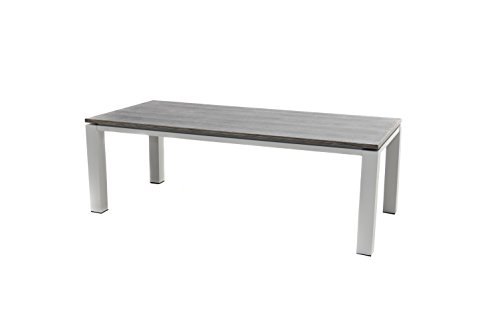 Ploß Diningtisch Nevis für 8 bis 10 Personen - Alutisch mit kratzfester Tischplatte - Gartentisch 220 x 100 cm schlicht in Grau - Terrassentisch aus Aluminium mit 10x10cm Tischbeinen