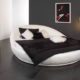 Rundes Bett DREAMLAND in Ø 220 cm - traumhaftes Designerbett, weisses Kunstleder