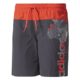 adidas Jungen Graphic Badeshorts