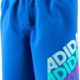 adidas Jungen Lin Cl Badeshorts