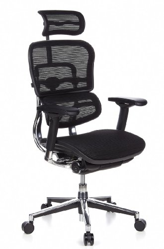 hjh OFFICE 652111 Luxus Chefsessel ERGOHUMAN Netzstoff Schwarz hochwertiger Bürodrehstuhl mit Vollausstattung