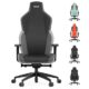 RECARO Rae Essential Grey | Premium Gaming Stuhl mit Synchronmechanik | Ergonomischer Gaming Chair mit hochwertiger Verarbeitung, dezentem Design, auch als Bürostuhl